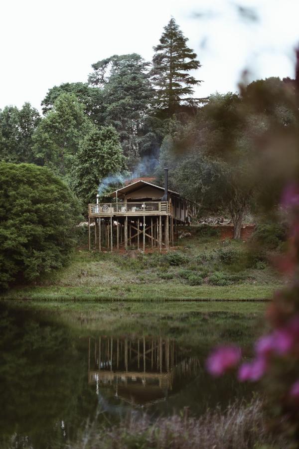 Africamps Magoebaskloof Villa Exteriör bild