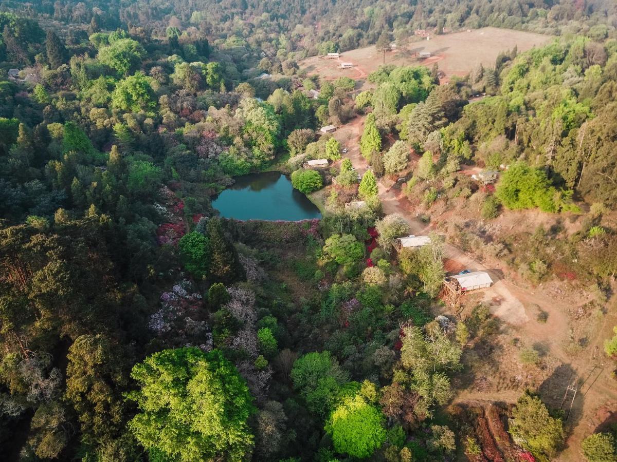 Africamps Magoebaskloof Villa Exteriör bild