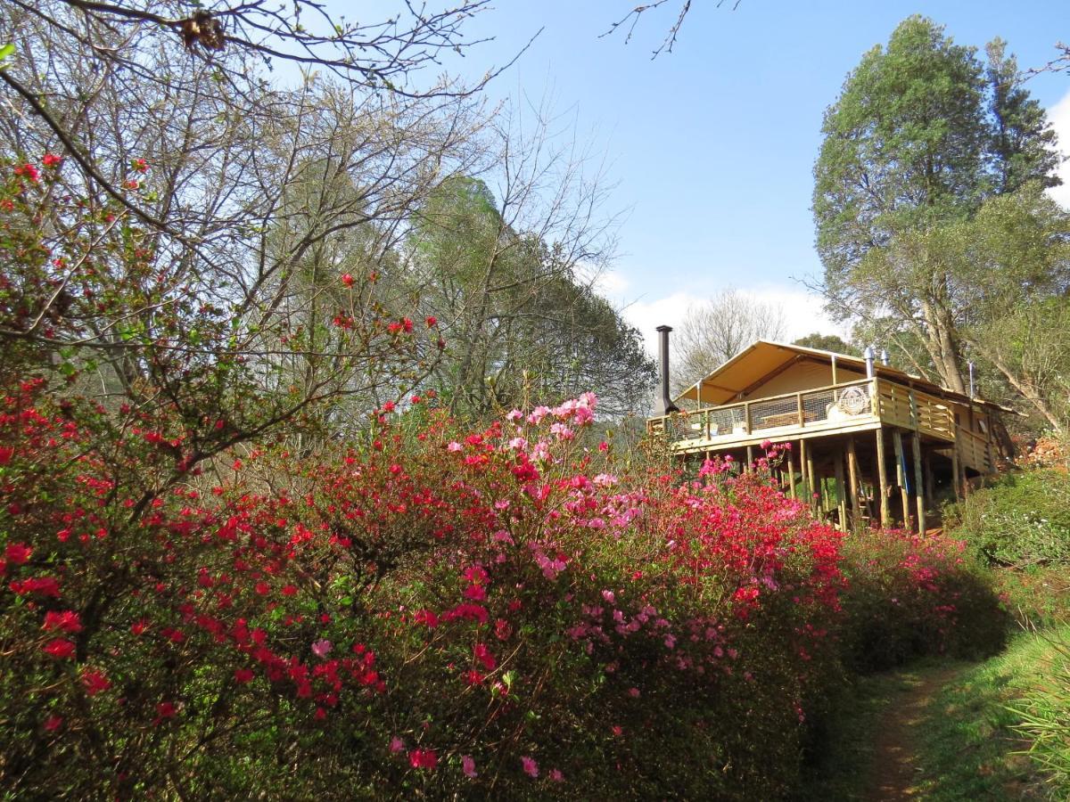 Africamps Magoebaskloof Villa Exteriör bild