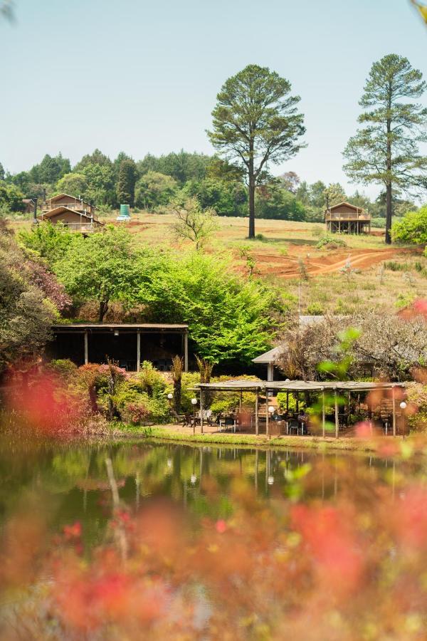 Africamps Magoebaskloof Villa Exteriör bild