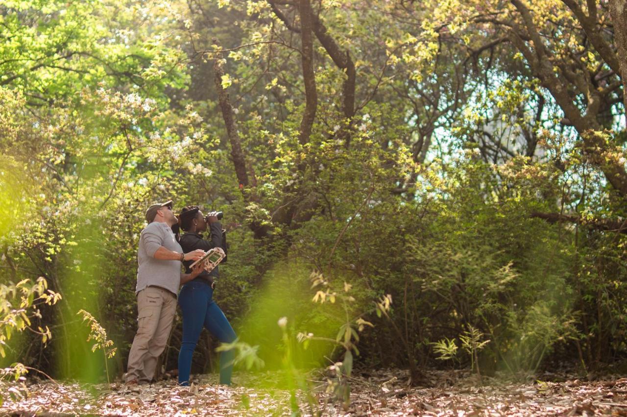 Africamps Magoebaskloof Villa Exteriör bild