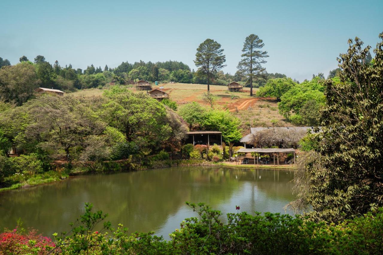 Africamps Magoebaskloof Villa Exteriör bild